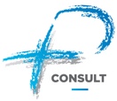 Logo de P+ Consult
